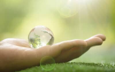 Routine beauty green: come l’olio di ricino migliora i prodotti detergenti