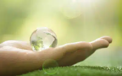 Routine beauty green: come l’olio di ricino migliora i prodotti detergenti