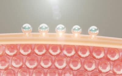 Effetto rebound della pelle grassa: perché il viso produce più sebo
